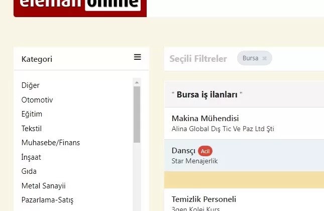 Bursa İş İlanları