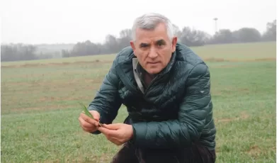 Buğdaya yağmur bereketi!