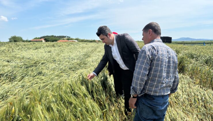 Keşan’da iki köyde dolu hasarı