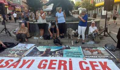  Katliam yasasına ‘veto’ çağrısı!