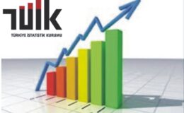 TÜİK enflasyonu %2,24