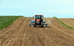 Ayçiçeğine ‘mevsimsel’ ayar!