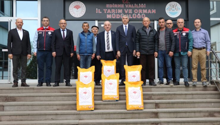 Üreticiye yerli ayçiçeği tohumu