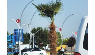 Balkan soğuğuna tropik peyzaj!