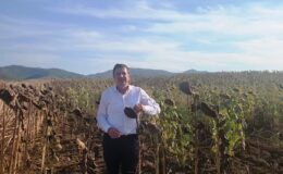 Üreticiye ithalat darbesi