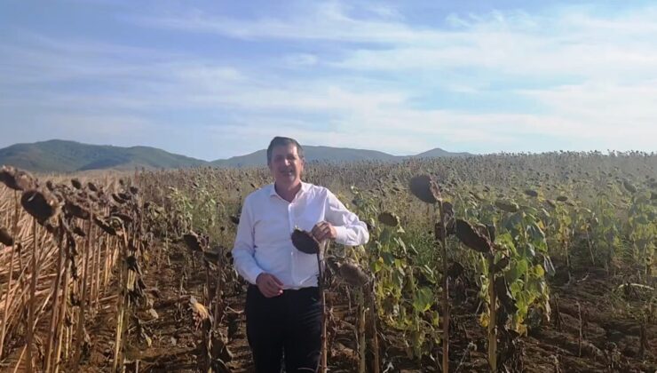 Üreticiye ithalat darbesi