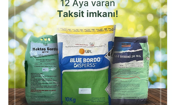 Ata Tohumu Nedir, Neden Tercih Edilmeli?