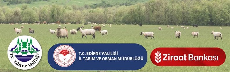 Geçerli görselin alternatif metni yok. Dosya adı: tarim1.jpg