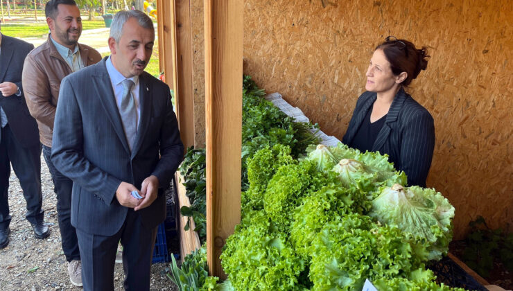 Millet Bahçesi’nde üretici pazarı!