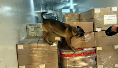 Uyuşturucu Bodri’den kaçmadı!