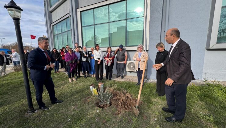 TÜ’de Zeytin Ağacı Günü