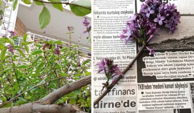 Erguvanların ikinci baharı