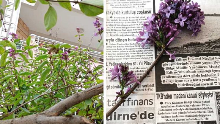 Erguvanların ikinci baharı