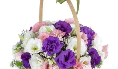 En Güzel Doğum Günü Çiçeği Seçimi: Renklerin ve Anlamların Gücü