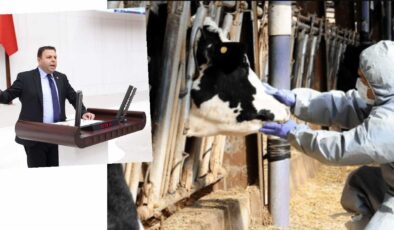 ‘Trakya’ya şap tekrar nasıl geldi?’