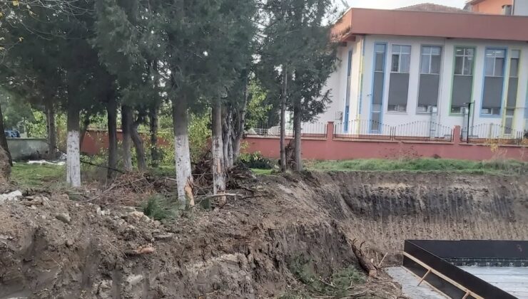 Trakya Birlik İlkokulu bahçesinde ağaçlar tehdit altında