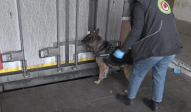 Uyuşturucu Bodri’den kaçamadı!