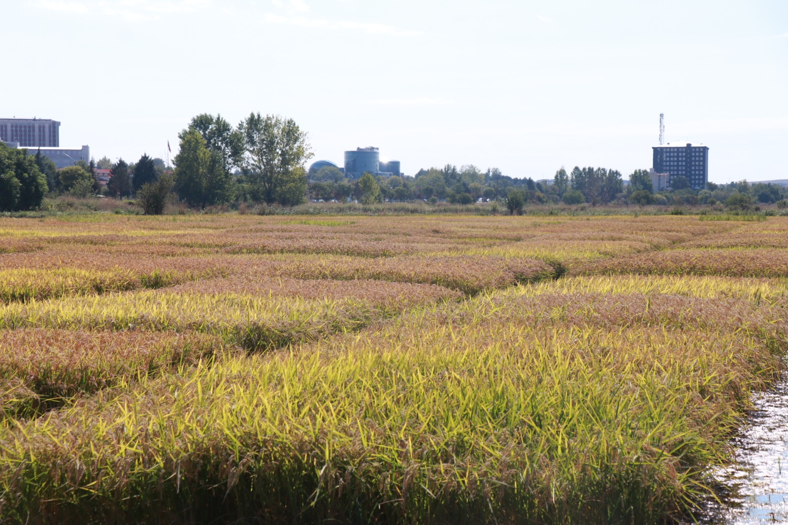 Geçerli görselin alternatif metni yok. Dosya adı: WhatsApp-Image-2026-01-25-at-13.06.55.jpeg