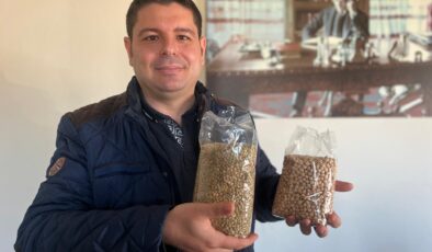 Üreticiye hibe nohut tohumu!