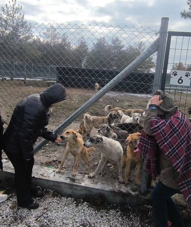 Geçerli görselin alternatif metni yok. Dosya adı: hayvan.jpg