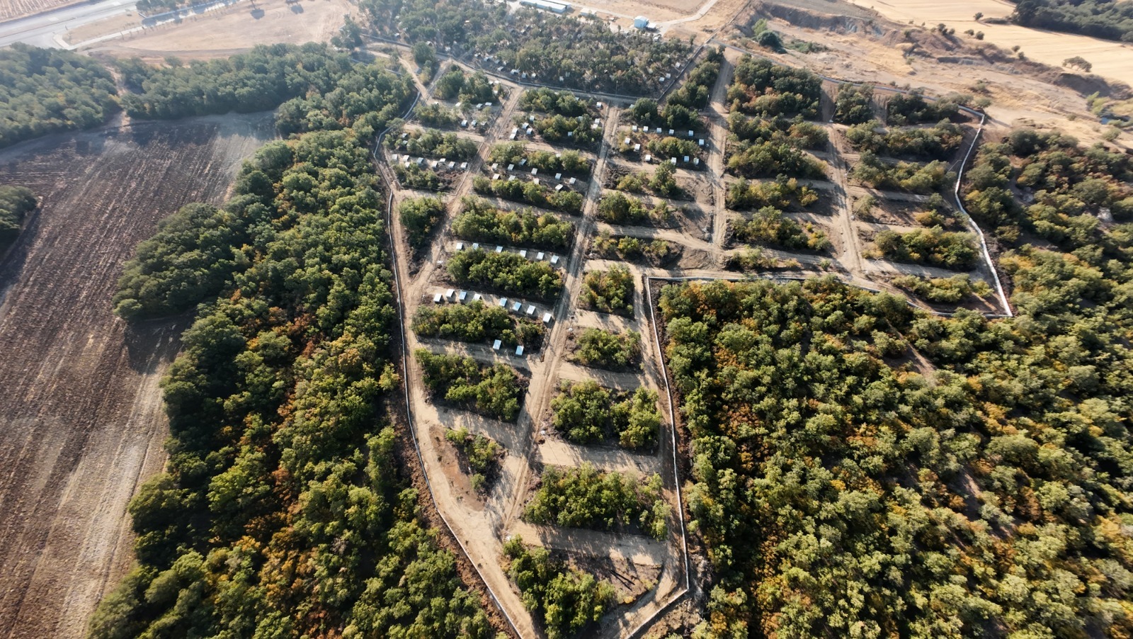 Geçerli görselin alternatif metni yok. Dosya adı: kesan-kopek.jpg