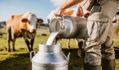 Sütte tatsız fiyat!