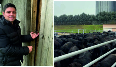 Hayvancılığın kapısına ‘kilit’