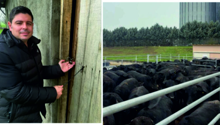 Hayvancılığın kapısına ‘kilit’