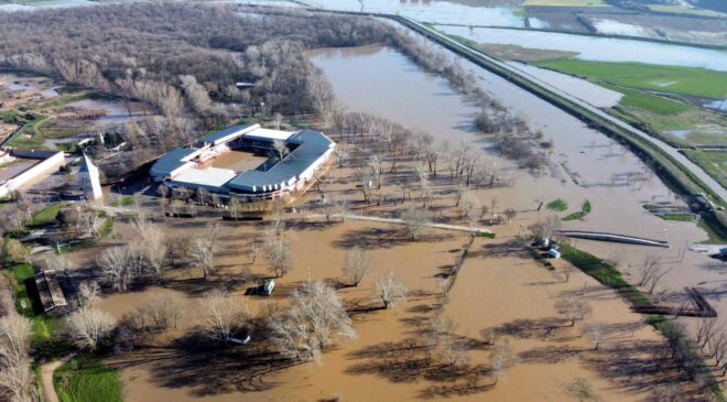 Debiler düşüşte!