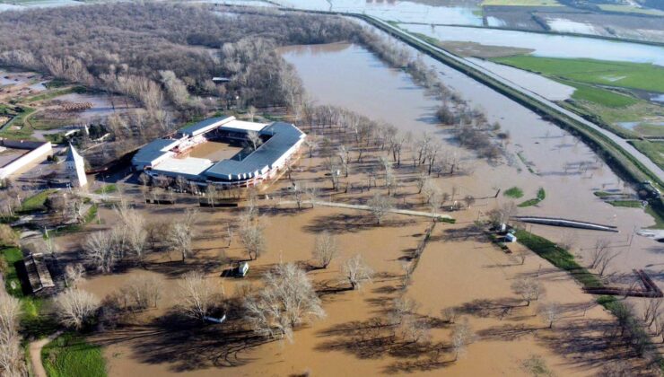 Debiler düşüşte!