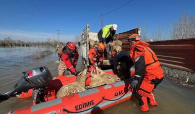 Taşkında zamanla yarış!