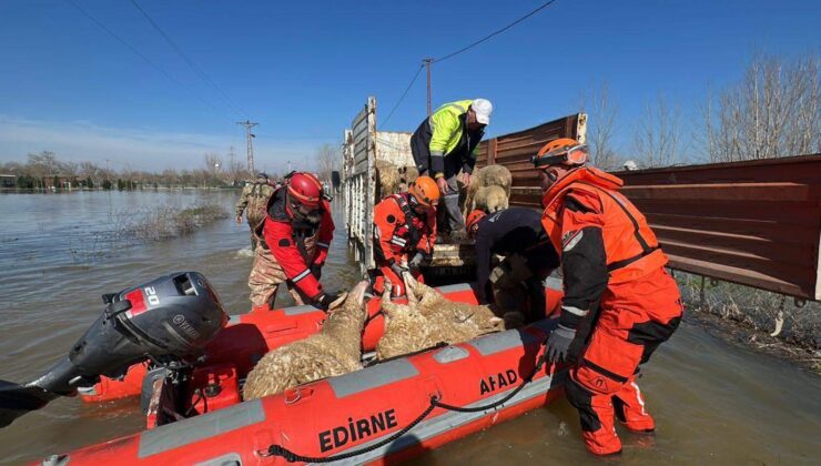 Taşkında zamanla yarış!
