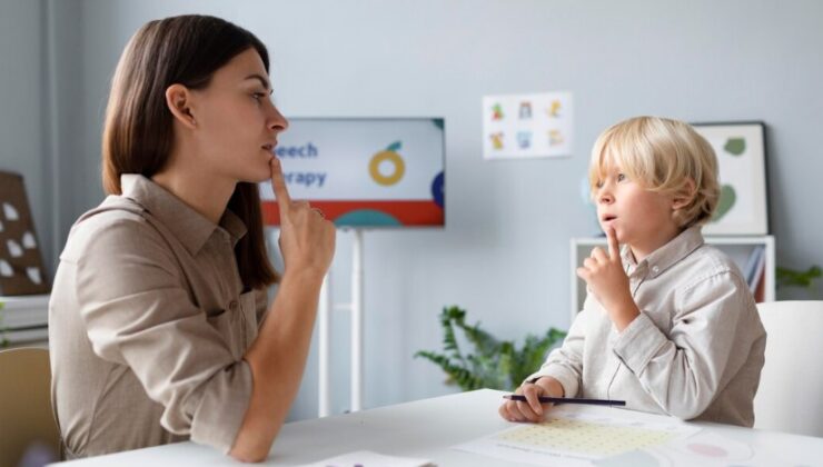 Başarılı Kayseri Pedagog Uzmanı DSM Psikoloji