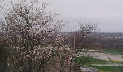 İlk cemre karla birlikte düştü