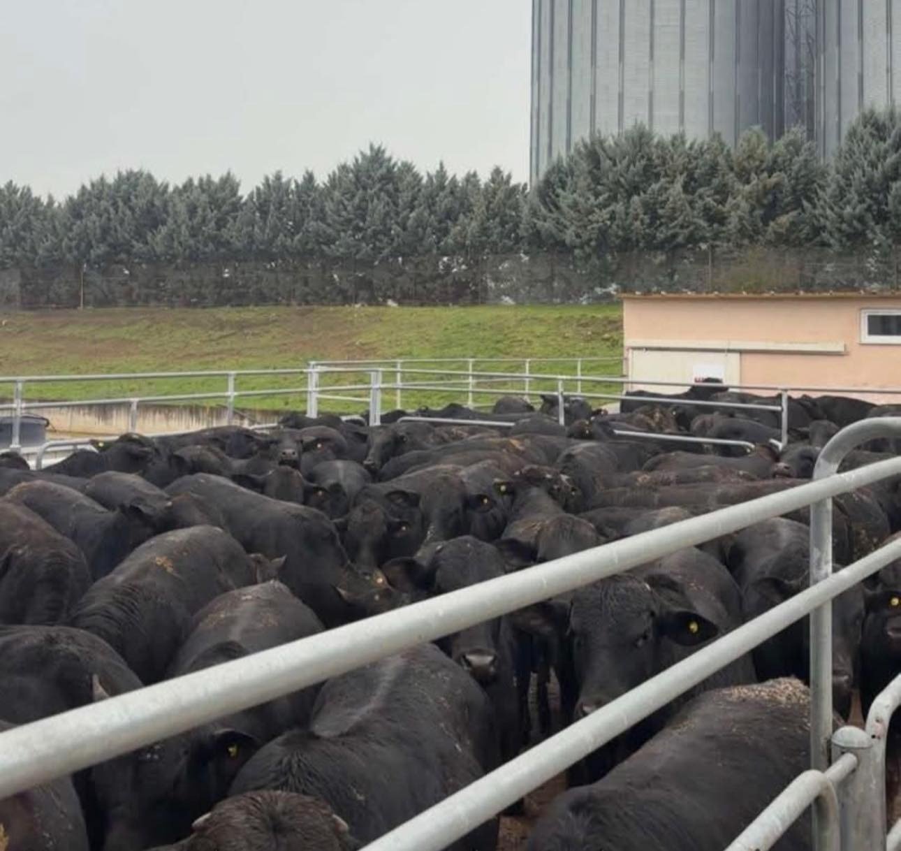 Geçerli görselin alternatif metni yok. Dosya adı: fbf4be60-a22b-4c3f-b14f-585eb8d0f54b.jpg