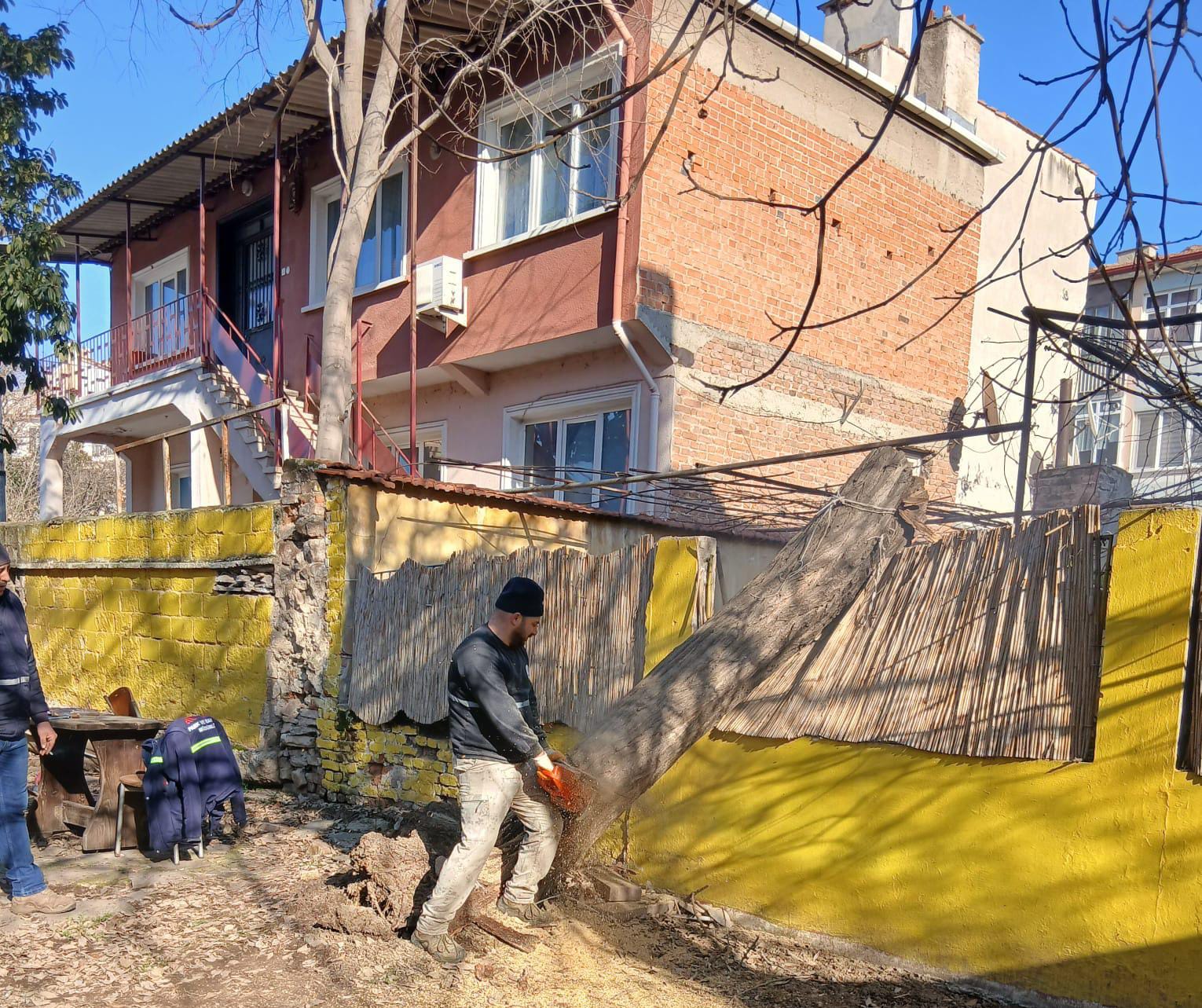 Geçerli görselin alternatif metni yok. Dosya adı: gulseven-agac.jpg