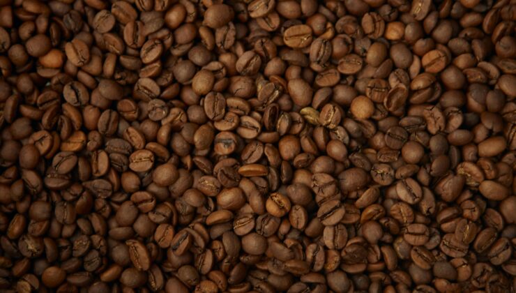 Brezilya Kahvesi İle Filtre Demleme: En İyi Öğütüm