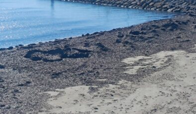 Lodos Sultaniçe’yi talaşa boğdu!