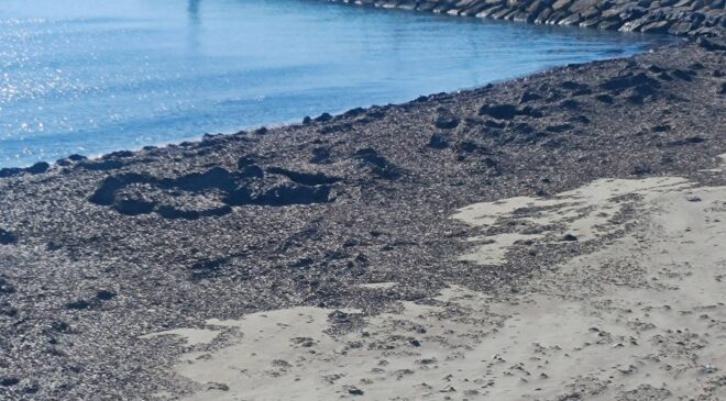 Lodos Sultaniçe’yi talaşa boğdu!