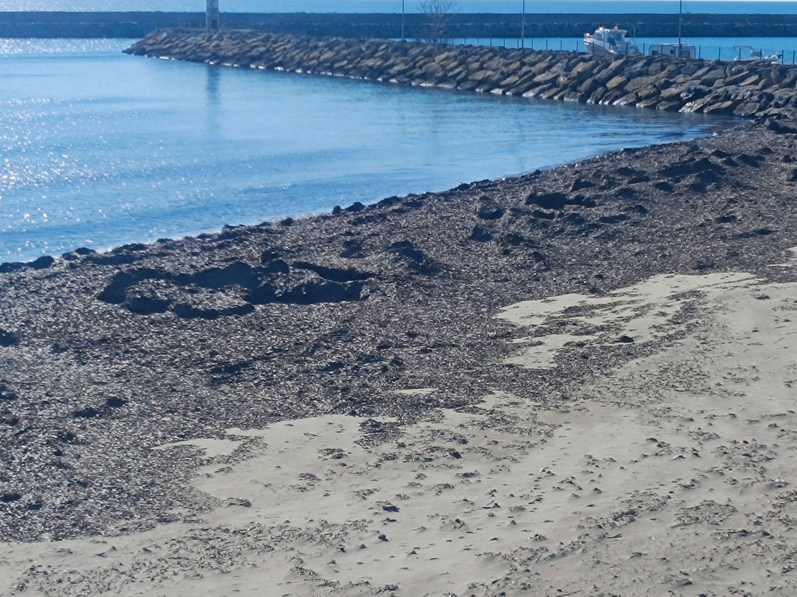 Geçerli görselin alternatif metni yok. Dosya adı: lodos.jpg