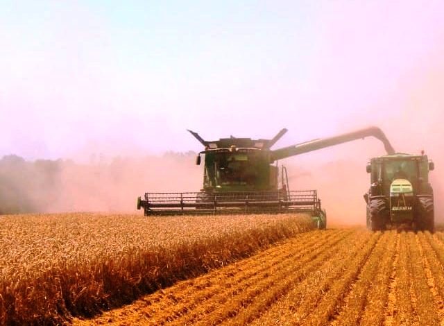 Geçerli görselin alternatif metni yok. Dosya adı: okan-1.jpg