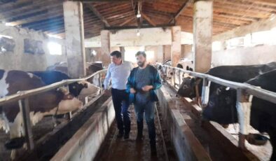 ‘Uruguay’da büyükbaş bırakmamışız’