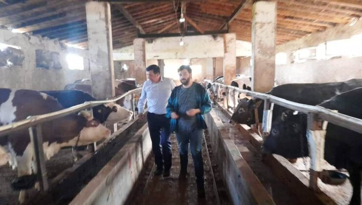 ‘Uruguay’da büyükbaş bırakmamışız’