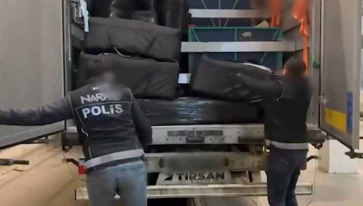 TIR’da 240 kilogram skunk