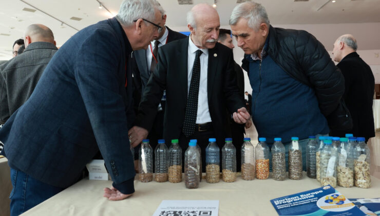 TÜ’de INFRA etkinliği