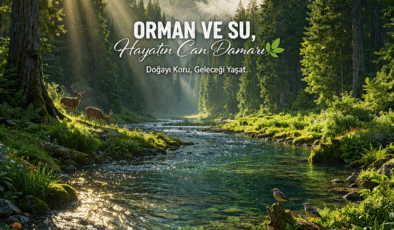 ‘Orman ve su, hayatın can damarı’
