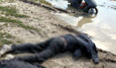 Cansız bedeni tarlada bulundu