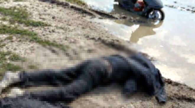 Cansız bedeni tarlada bulundu