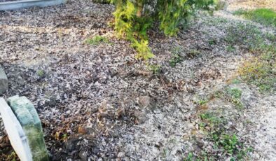 Kabirden toprak hırsızlığı iddiası!