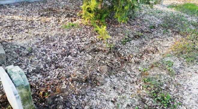 Kabirden toprak hırsızlığı iddiası!